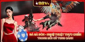 Đá Gà Đòn - Nghệ Thuật Thực Chiến Trong Mỗi Cú Tung Cánh