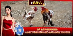 Không khí cuồng nhiệt tại đấu trường trực tuyến