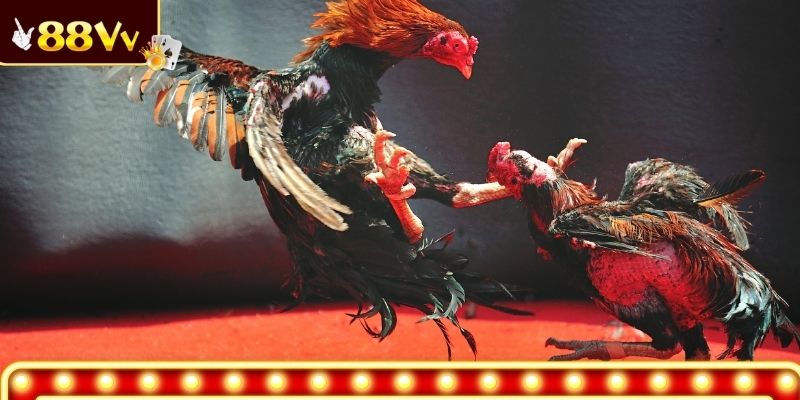 Không khí cuồng nhiệt tại đấu trường trực tuyến